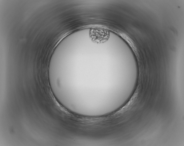 X0000112021193200908031035