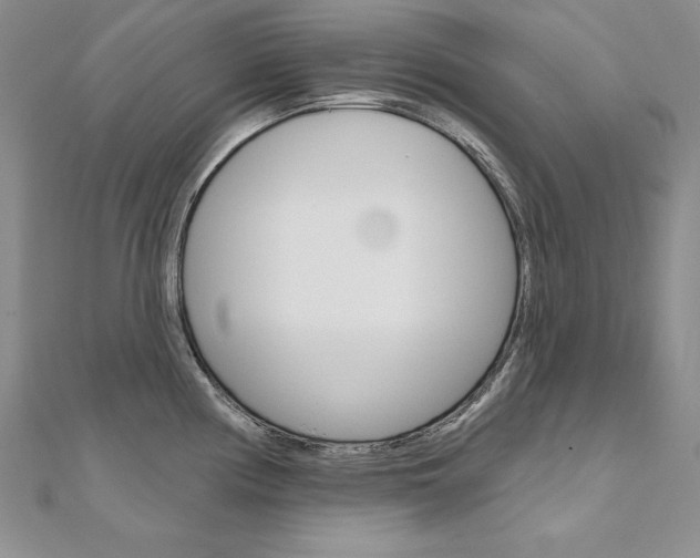 X0000112021194200908031035