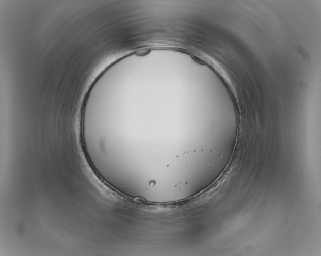 X0000112021195200908031035