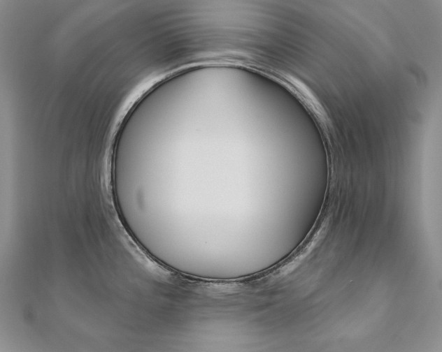 X0000112021196200908031035