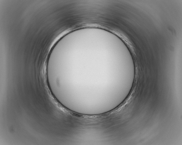X0000112021198200908031035