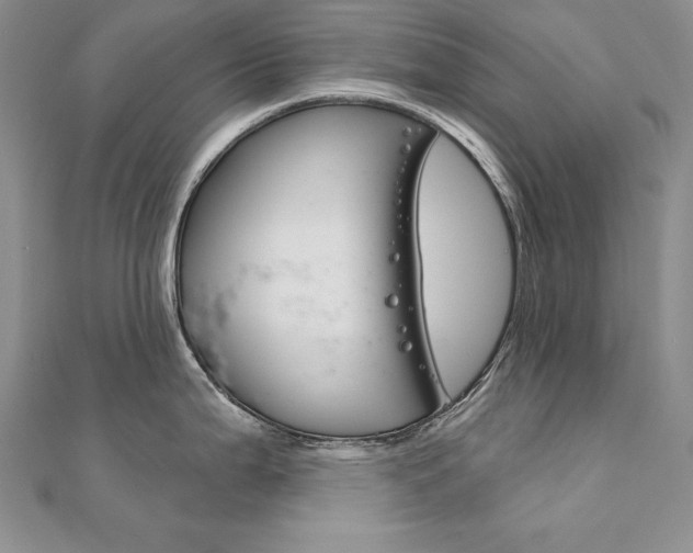 X0000112021199200908031035