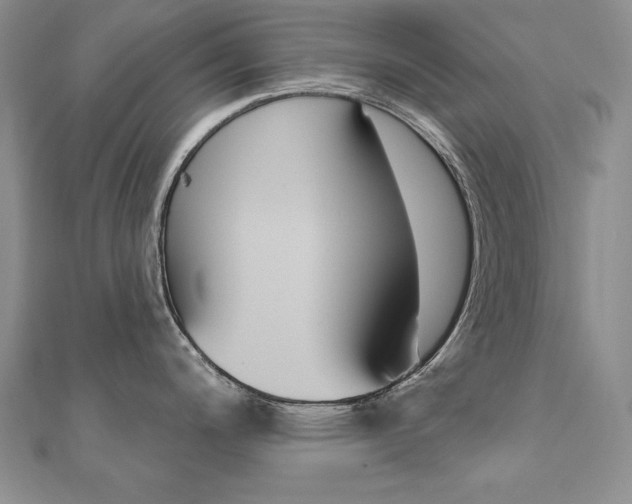 X0000112021200200908031035