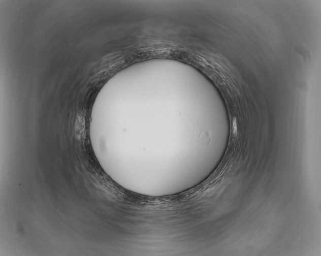 X0000112021203200908031035