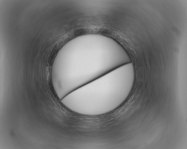 X0000112021204200908031035