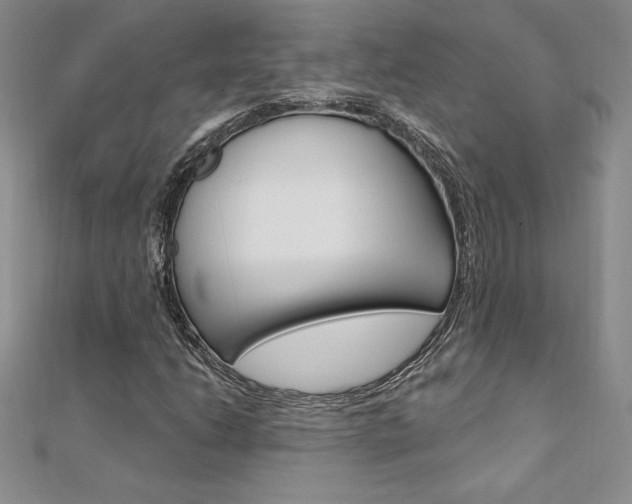 X0000112021206200908031035