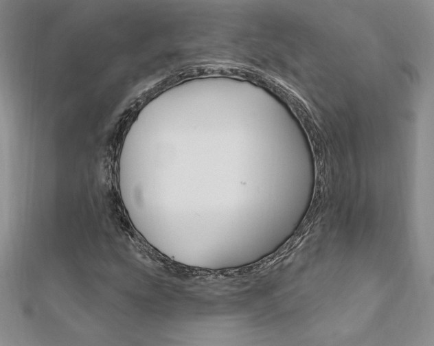 X0000112021207200908031035