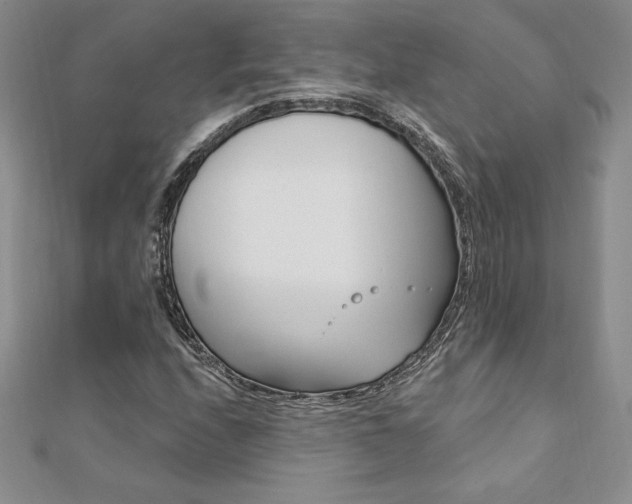 X0000112021208200908031035