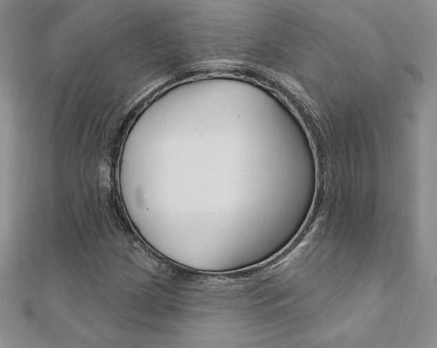 X0000112021209200908031035