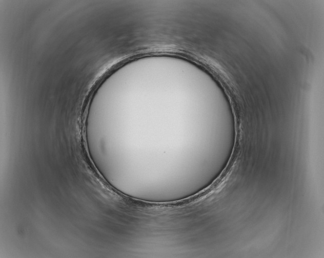 X0000112021212200908031035
