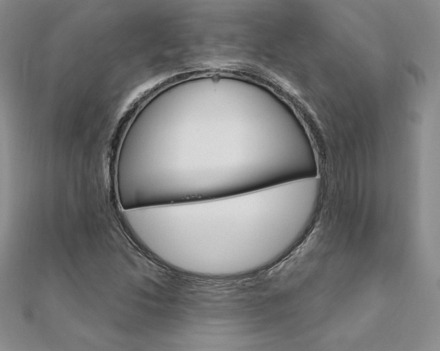 X0000112021214200908031035