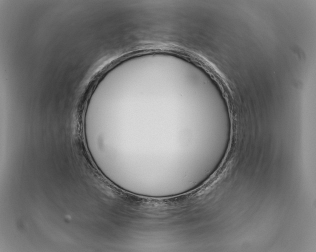 X0000112021215200908031035