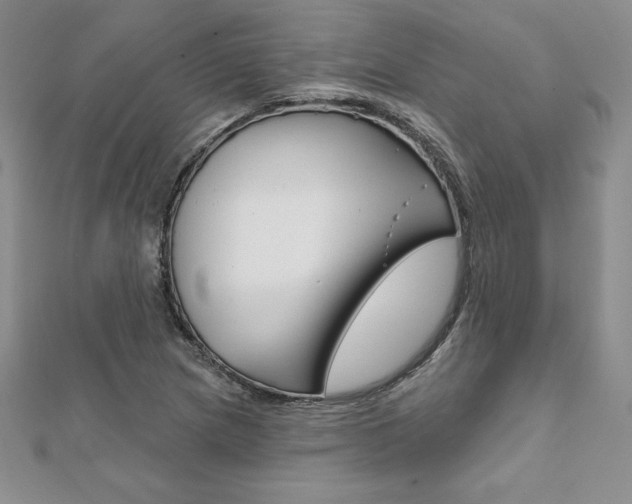 X0000112021217200908031035