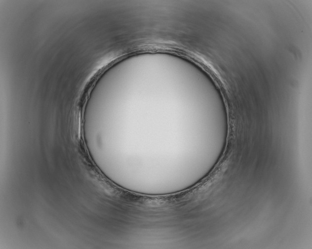 X0000112021219200908031035