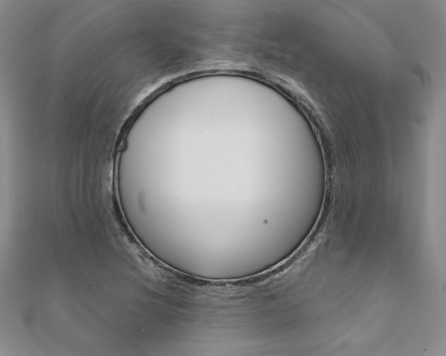 X0000112021220200908031035