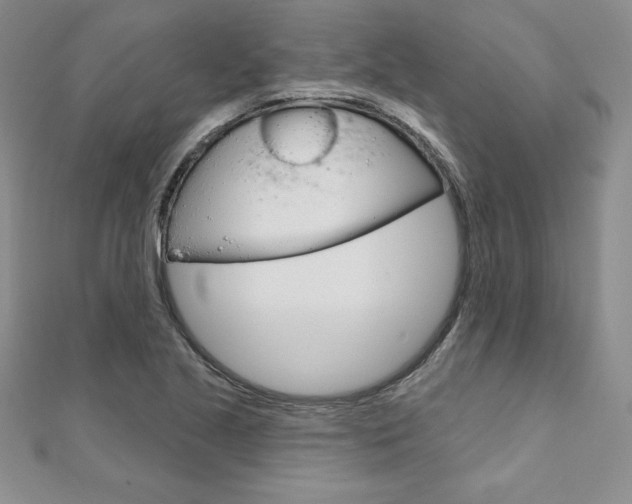 X0000112021221200908031035