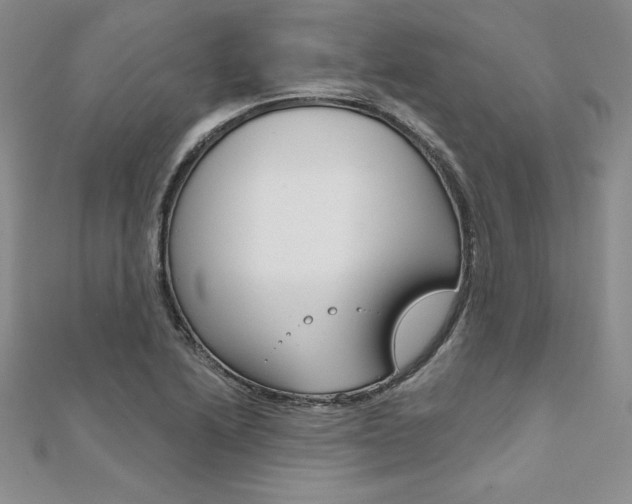 X0000112021222200908031035