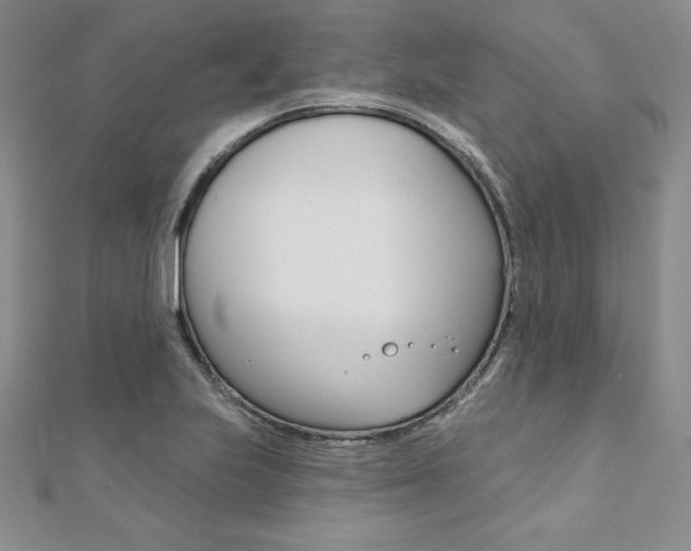 X0000112021223200908031035