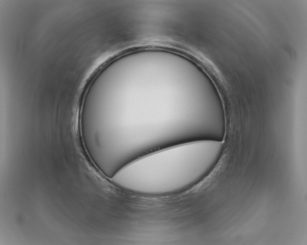 X0000112021224200908031035