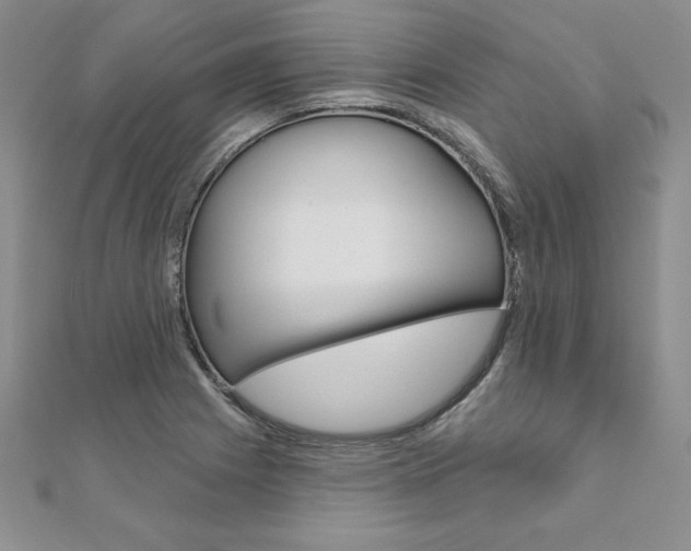 X0000112021225200908031035