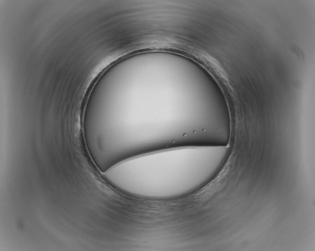 X0000112021226200908031035