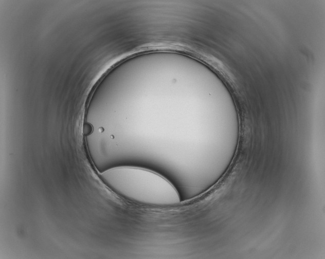 X0000112021228200908031035