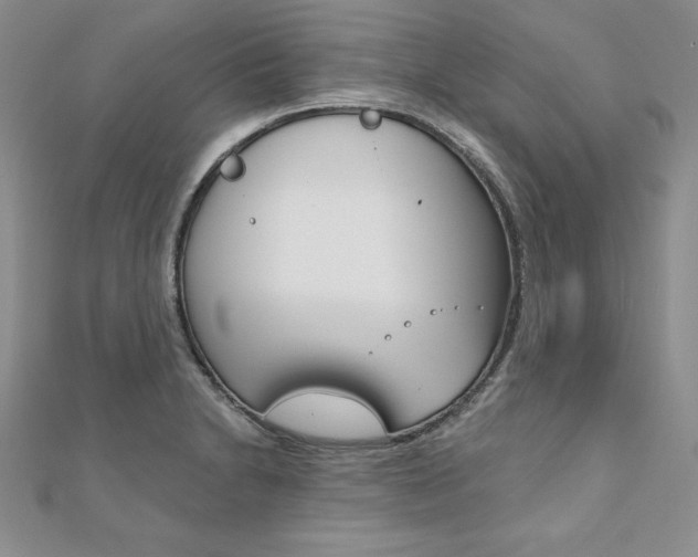 X0000112021230200908031035