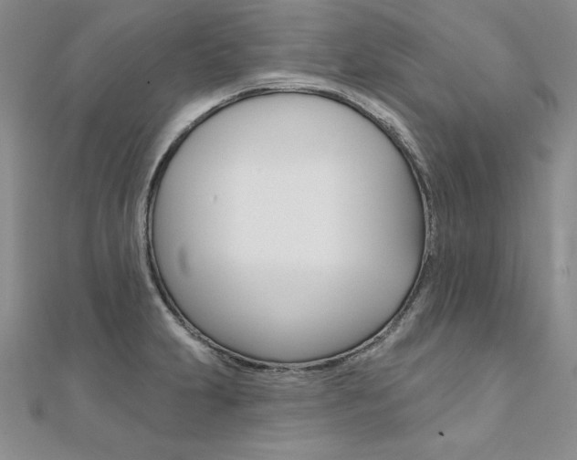 X0000112021231200908031035