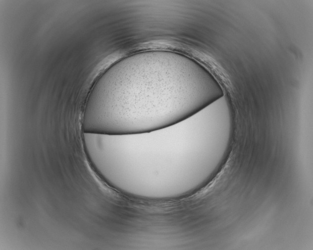 X0000112021233200908031035