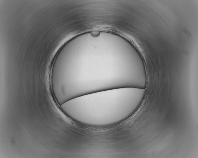 X0000112021235200908031035