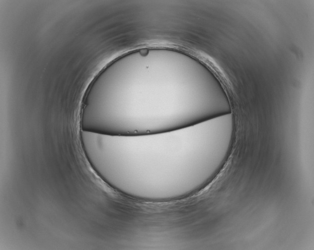 X0000112021236200908031035