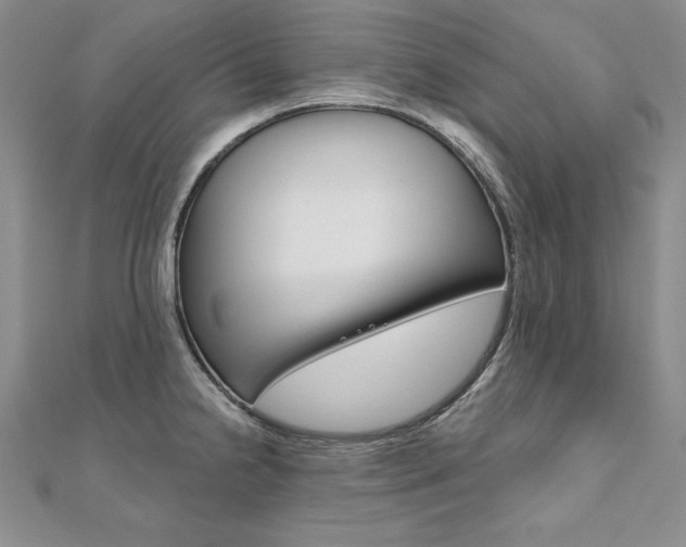 X0000112021238200908031035