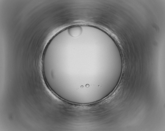 X0000112021239200908031035