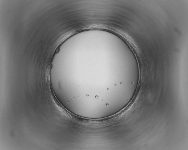 X0000112021241200908031035