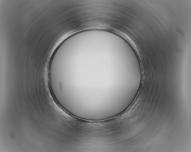 X0000112021243200908031035