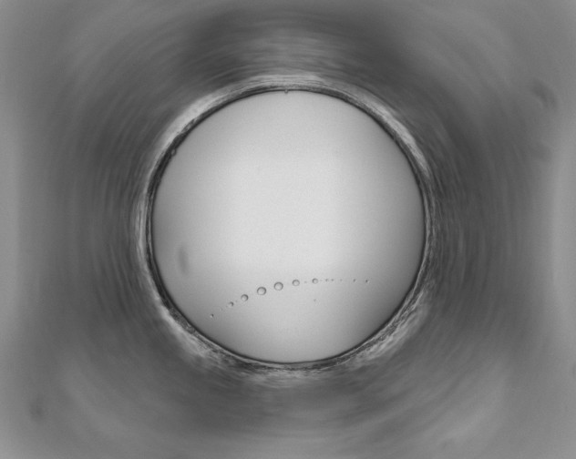 X0000112021245200908031035