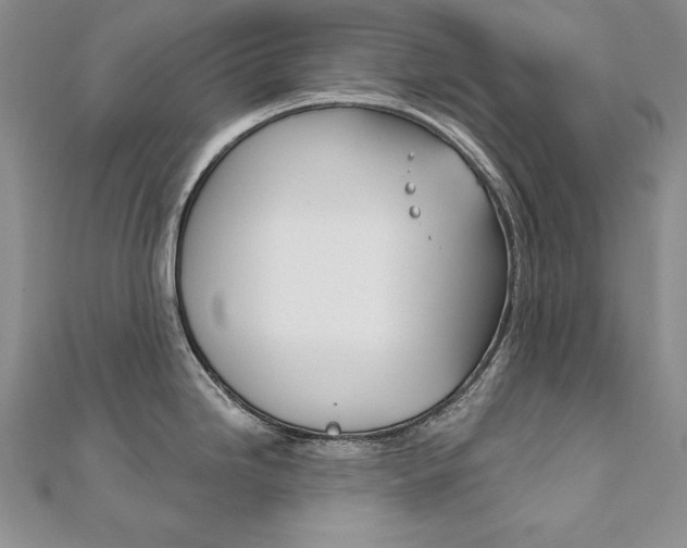 X0000112021246200908031035
