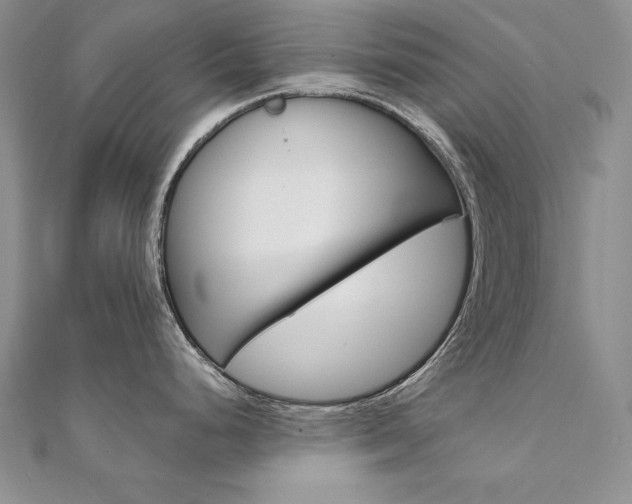 X0000112021248200908031035