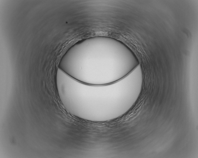 X0000112021249200908031035