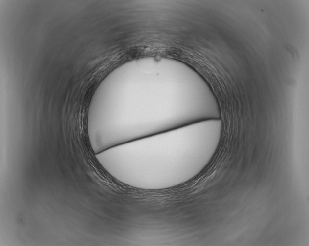 X0000112021250200908031035