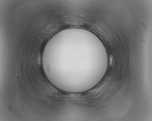 X0000112021251200908031035