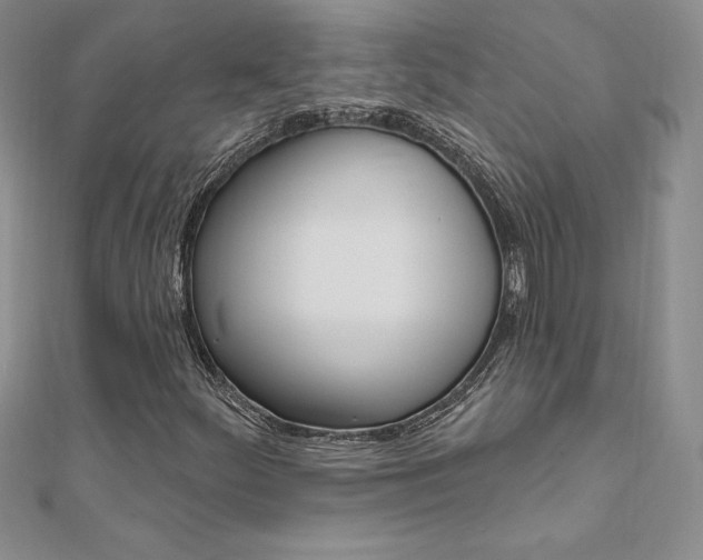 X0000112021252200908031035