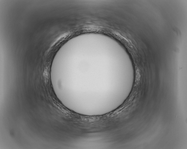X0000112021254200908031035