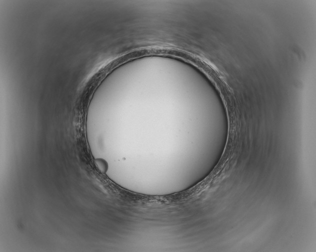 X0000112021255200908031035