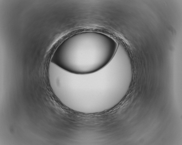 X0000112021256200908031035