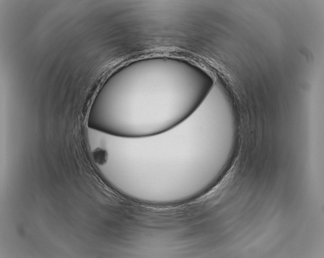 X0000112021257200908031035