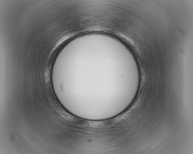 X0000112021258200908031035