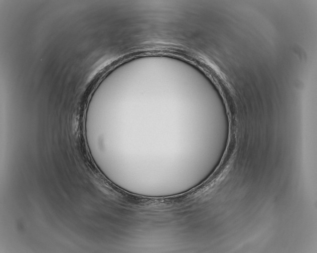 X0000112021259200908031035