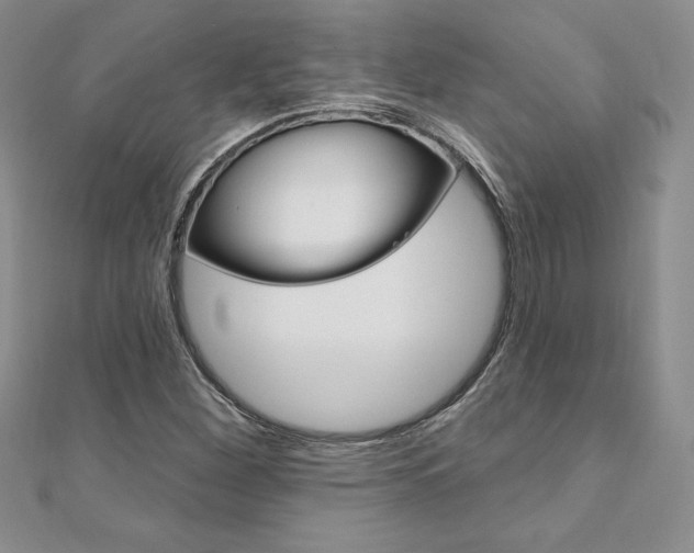 X0000112021260200908031035
