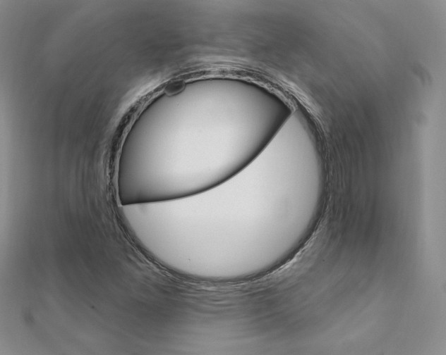X0000112021261200908031035